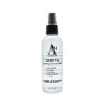 Adventure Dewy Fix Makeup Spray