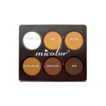 Micolor 6-in-1 Powder Palette