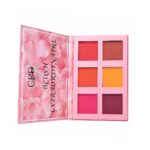 CPD Blush Extraordinaire 6-in-1 Powder Blush Palette