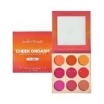 Annie’s Beauty Cheek Orgasm Professional Blush Palette